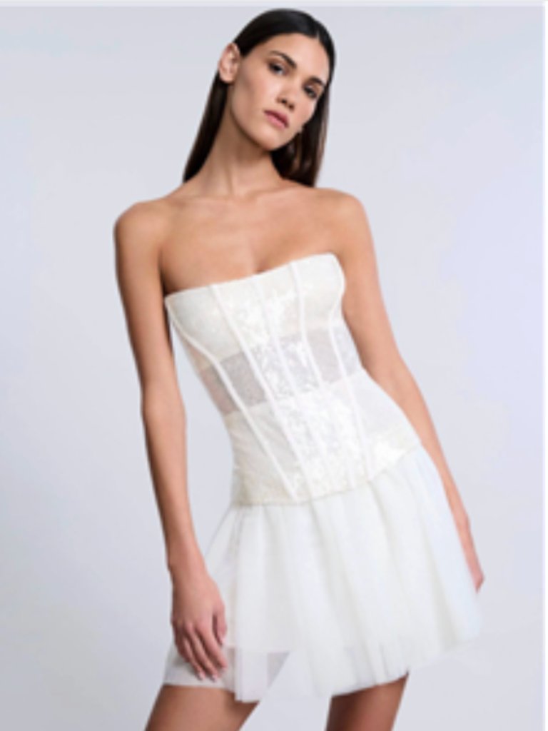 Bcbgmaxazria Sequin Lace Peplum Tulle Strapless Corset Mini Dress Nwt — image 3 of 5